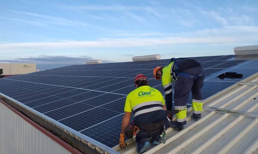 ☀️🔌¿Cómo elegir el panel solar perfecto? No todo es el precio